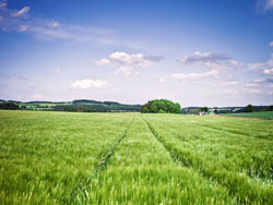 关于云服务器2012R2无法安装.NET Framework 3.5的解决办法